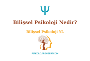 Bilişsel Psikoloji Nedir?